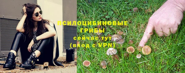 шишки Верхнеуральск