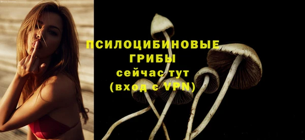 герыч Верея