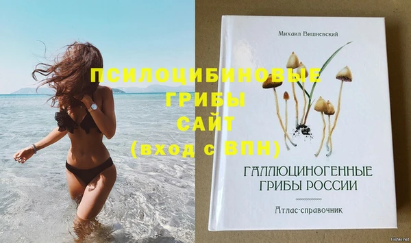 шишки Верхнеуральск